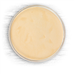 812372 - Briess Dry Malt Extract - Munich - 1 lb.