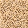 800105 - CMC 6-row Brewers Malt - per oz.