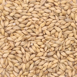 800108 - Briess 2-Row Brewers Malt - per oz.