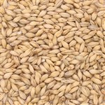 800110 - GWM 2-Row Brewers Malt - per oz.