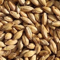 800111 - Exclusivo Argentinian Pale Malt - per oz.