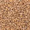 800130 - Briess Red Wheat Malt - per oz.