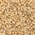 800135 - Briess Pilsen Malt - per oz.