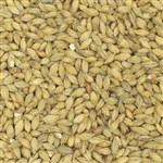 800136 - Best Malz Pilsen Malt - per oz.