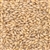 800139 - Briess Synergy Select Pilsen Malt - per oz.