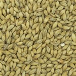 800143 - Weyermann&reg; Floor-Malted Bohemian Pilsner Malt - per oz.