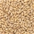 800151 - Briess Pale Ale Malt - per oz.