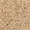 800170 - Briess Carapils Malt - per oz.