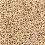 800170 - Briess Carapils Malt - per oz.