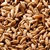 800173 - Briess Blonde RoastOat Malt - per oz.