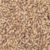 800175 - Briess Victory Malt - per oz.