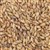 800180 - Briess Special Roast Malt - per oz.