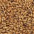 800185 - Briess Extra Special Malt - per oz.