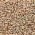 800190 - Briess Rye Malt - per oz.