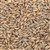 800190 - CMC Rye Malt - per oz.