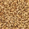 800195 - Briess Smoked Malt - per oz.