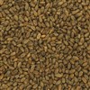 800202 - Briess CaraCrystal Wheat Malt - per oz.