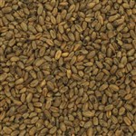 800202 - Briess CaraCrystal Wheat Malt - per oz.