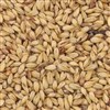 800205 - Briess Caramel Malt 10L - per oz.