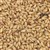 800210 - Briess Caramel Malt 20L - per oz.