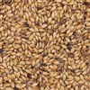 800230 - Briess Caramel Malt 80L - per oz.