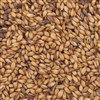 800235 - GWM Crystal Malt 120L - per oz.