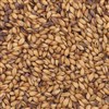 800235 - Briess Caramel Malt 120L - per oz.