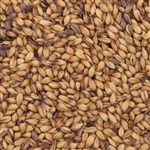 800235 - Briess Caramel Malt 120L - per oz.