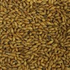 800254 - Thomas Fawcett Amber Malt - per oz.