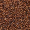 800280 - Briess Light Roasted Barley - per oz.