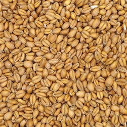 800320 - Briess Torrified Wheat - per oz.