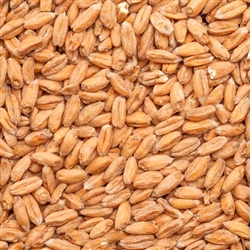 800321 - Best Malz Spelt Malt - per oz.