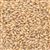 801112 - CMC 6-row Brewers Malt - per lb.