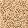 801110 - Briess ORGANIC 2-row Brewers Malt - 50 lb. bag