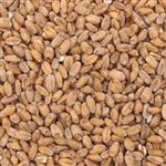 801158 - Briess Red Wheat Malt - 50 lb. bag.