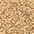 801161 - Briess Pilsen Malt - per lb.