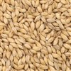 801163 - CMC Superior Pilsen Malt - 55 lb. bag