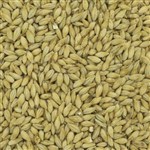 801168 - Franco Belges Belgian Pale Ale Malt - 55 lb. bag