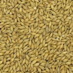 801177 - Thomas Fawcett Pearl Malt - per lb.