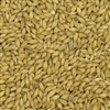 801178 - Thomas Fawcett Pearl Malt - 55 lb. bag