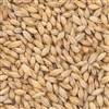803415 - CMC Munich Malt - 55 lb. bag