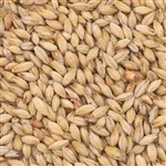 803415 - CMC Munich Malt - 55 lb. bag
