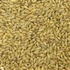 803445 - GWM Dark Munich Malt - per lb.