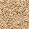 803716 - Briess Carapils Malt - 50 lb. bag