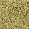 804126 - Briess Aromatic Malt - per lb.