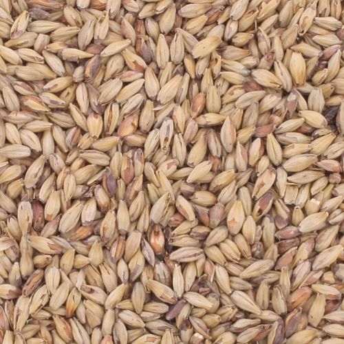 10 lb Briess Victory Malt 28L 10 lb Briess Victory Malt 28L
