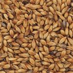 804252 - Briess Extra Special Malt - per lb.