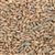 804262 - Briess Rye Malt - per lb.
