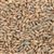 804262 - CMC Rye Malt - per lb.