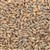 804265 - Briess Rye Malt - 50 lb. bag